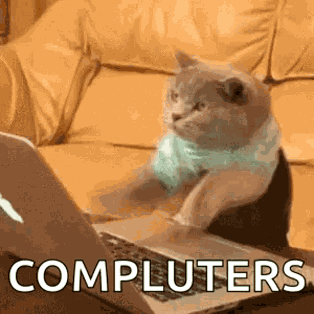 Cat Computer GIF