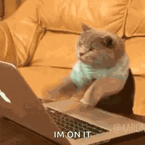 Cat Computer GIF
