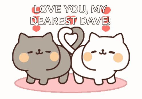 Cat Couple Cute Cats GIF