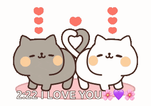 Cat Couple Cute Cats GIF