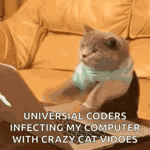 Cat Crazy Cat GIF