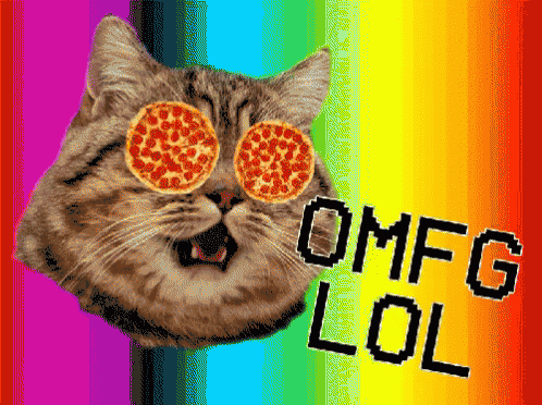 Cat Crazy GIF