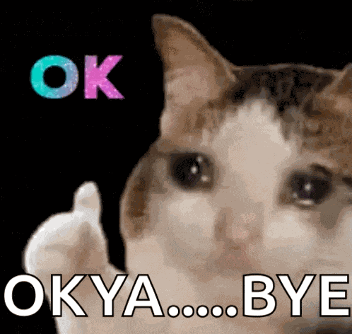 Cat Crying Cat Meme GIF