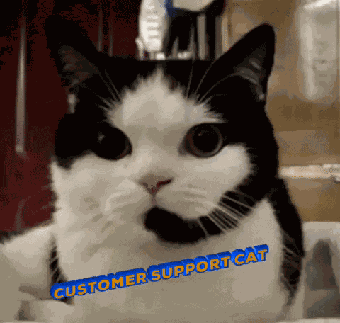 Cat Customer Service GIF