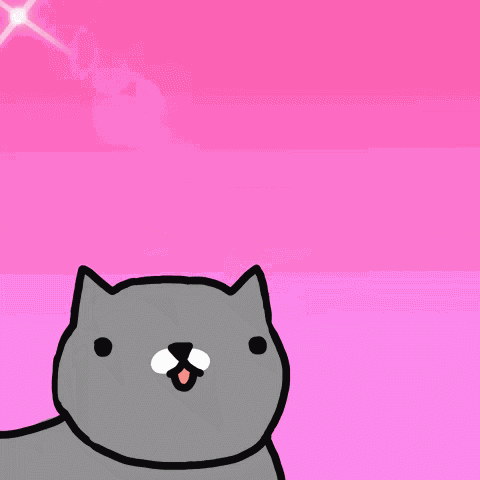 Cat Cute GIF