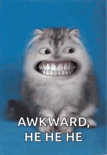 Cat Cute GIF