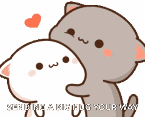 Cat Cute GIF