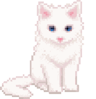 Cat Cute Sticker