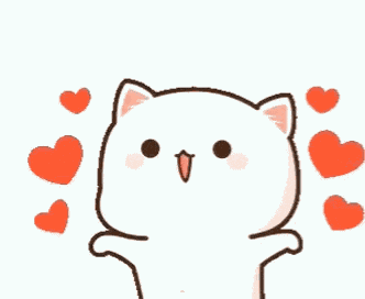 Cat Cute GIF