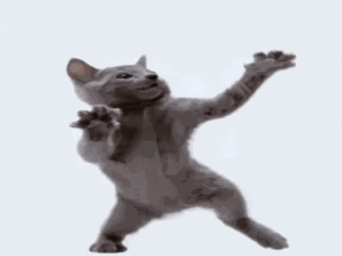 Cat Dance GIF