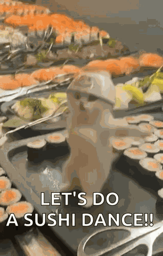 Cat Dance Sushi GIF