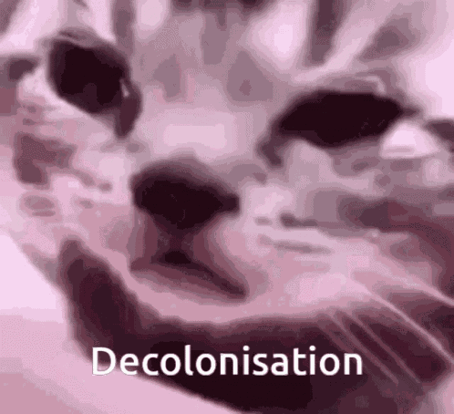 Cat Decolonisation GIF