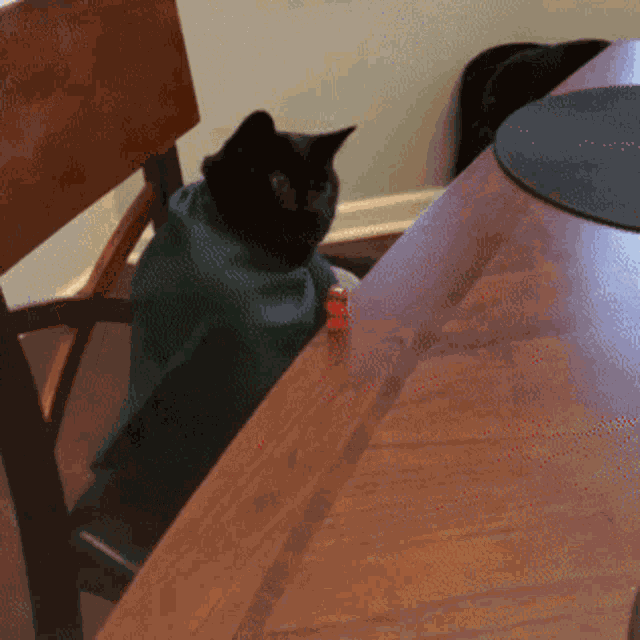 Cat Dice GIF