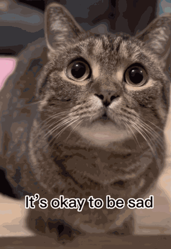 Cat Dinosaur GIF