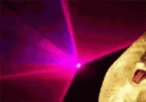 Cat Disco GIF