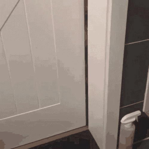 Cat Door GIF