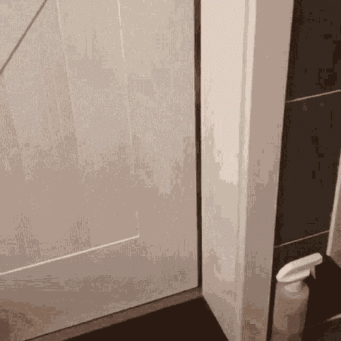 Cat Door GIF
