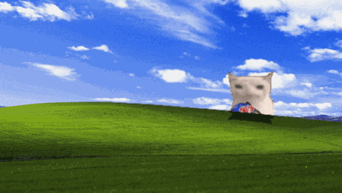 Cat Eating Chips Windows Xp Meme GIF