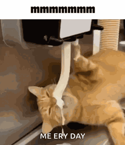 Cat Eating GIF