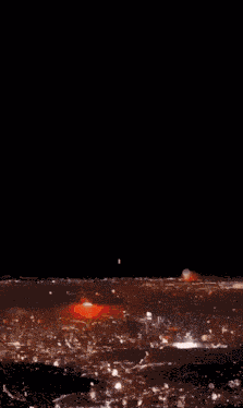 Cat Edit GIF