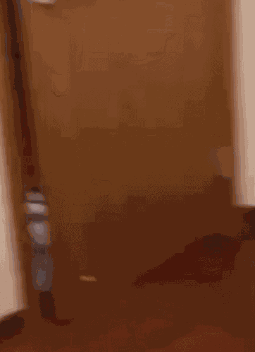 Cat Evil GIF