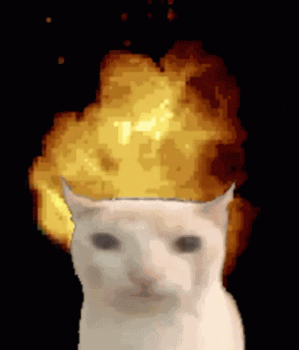 Cat Explosion GIF