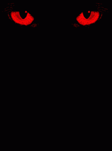 Cat Eyes GIF