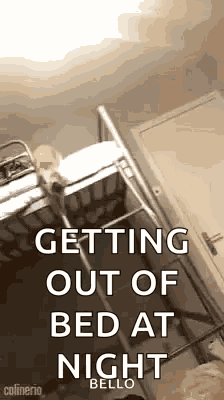 Cat Fall GIF