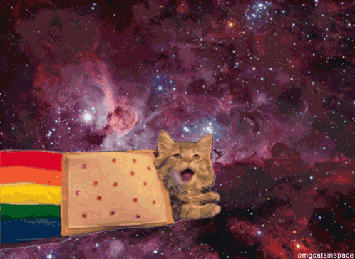 Cat Fly GIF