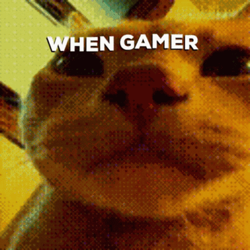 Cat Gamer GIF
