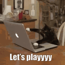Cat Gaming GIF