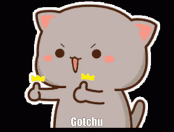 Cat Gotchu GIF
