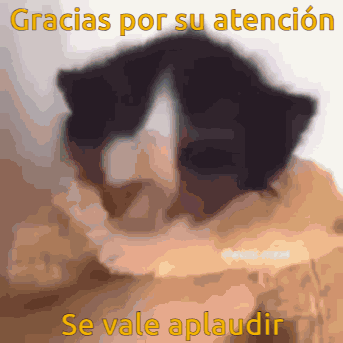 Cat Gracias Por Su Atencion GIF