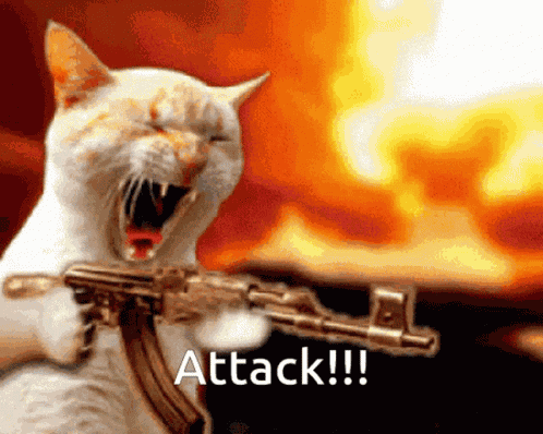 Cat Gun GIF