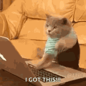 Cat Hack GIF