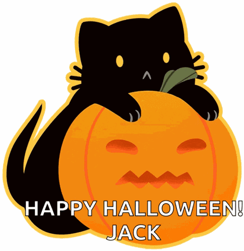 Cat Halloween GIF