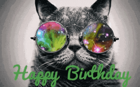 Cat Happybirthday GIF