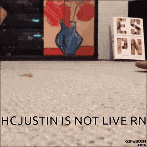 Cat Hcjustin GIF