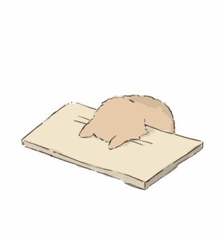 Cat-head-bang Table GIF