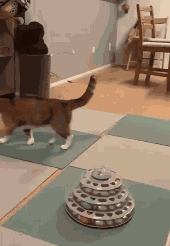Cat Head Pat GIF