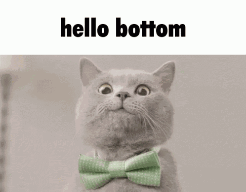 Cat Hello Bottom GIF