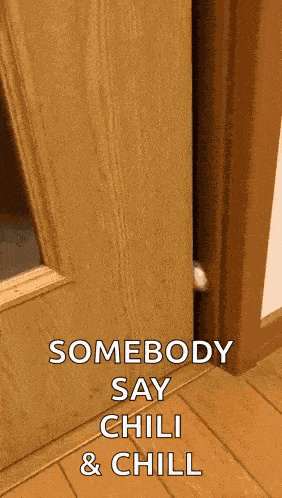 Cat Hello Cat Peek GIF