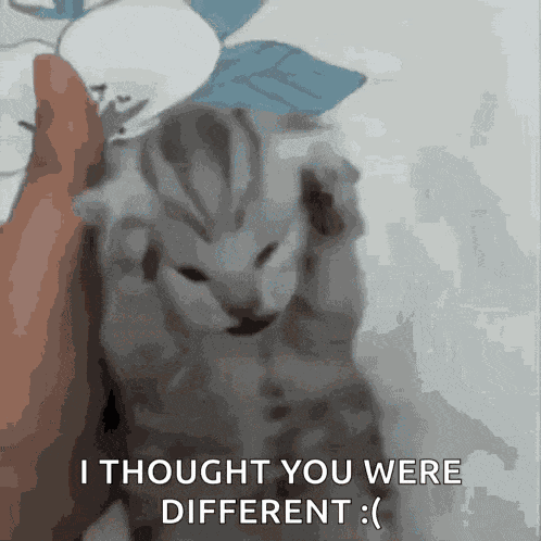Cat Holding Head Sad Cat GIF