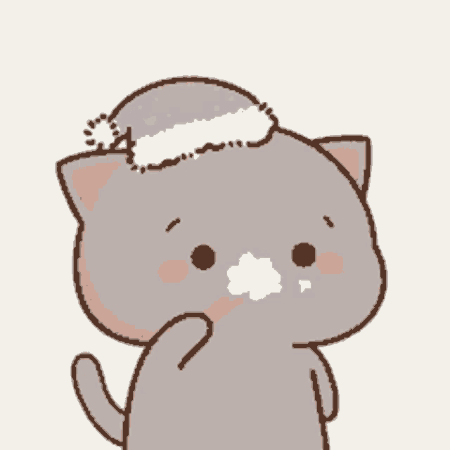 Cat GIF