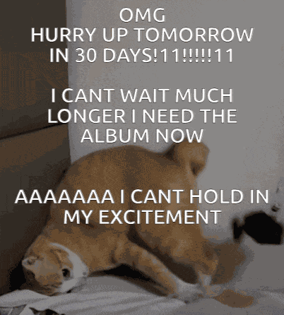 Cat Hurry Up Tomorrow GIF
