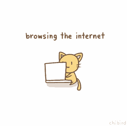 Cat Internet GIF