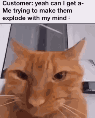 Cat Job GIF