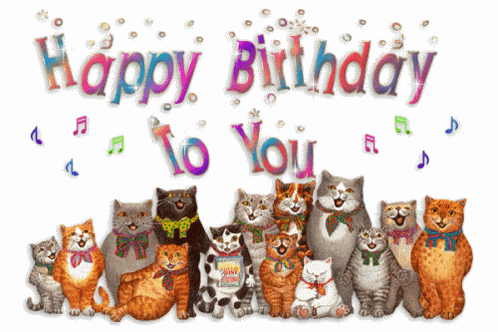 Cat GIF