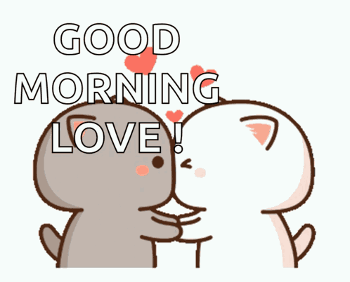 Cat Kiss GIF
