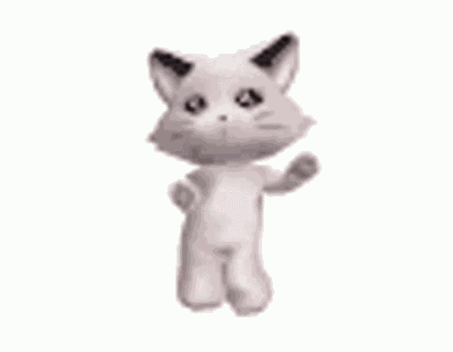 Cat Kitty GIF